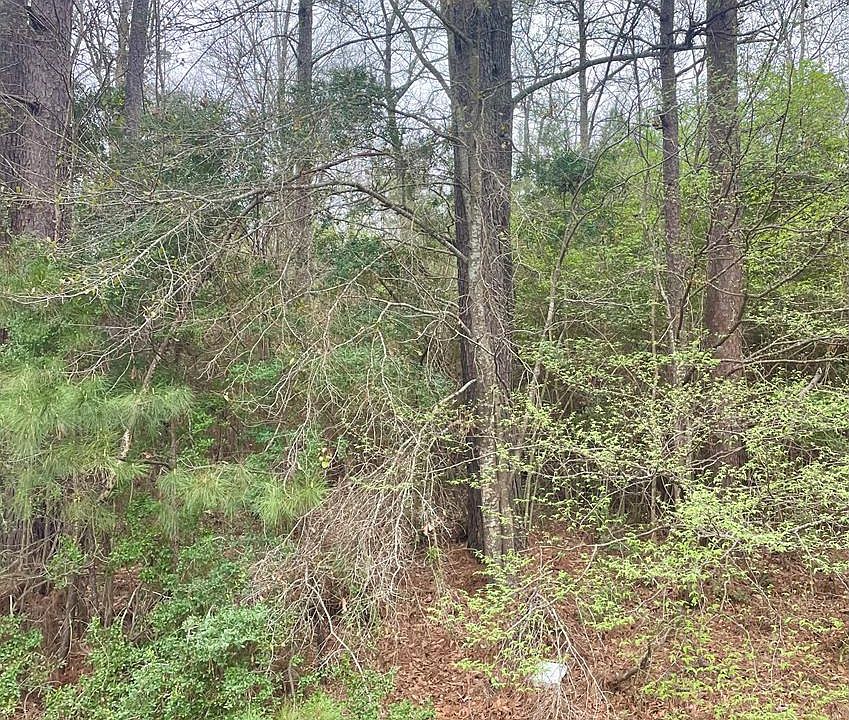 1st image of (Undisclosed Address)