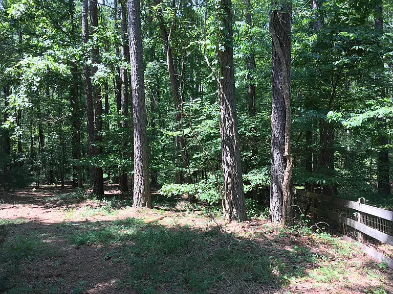 View of wooded area to rear