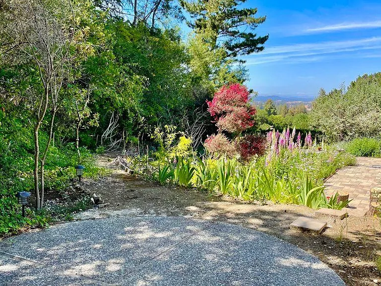12545 Briones Way — Photo 10