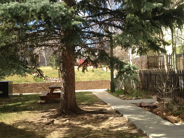 3270 Cripple Creek Trl — Photo 13
