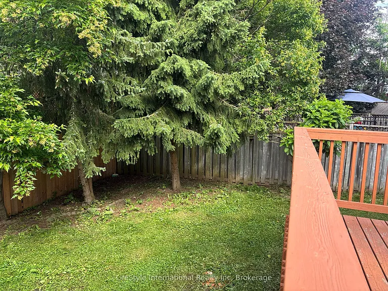 41 Camm Cres — Photo 22