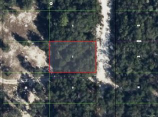 3580 S Chicory Ter, Inverness, FL 34450