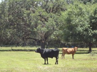 Camelia St, Labelle, FL 33935