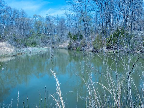 Hc73 220 B, Mountain Grove, MO 65711