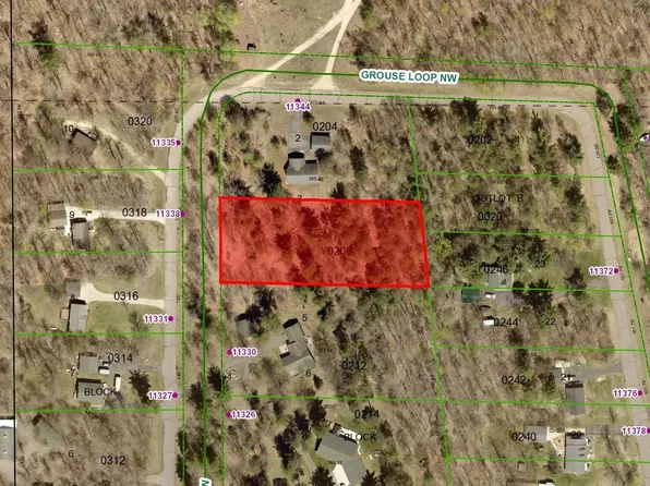 Grouse Loop NW, Walker, MN 56484