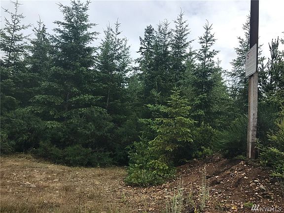 Northwestern area of property along Dewatto Hills road. Disregard no trespassing signs on this lot