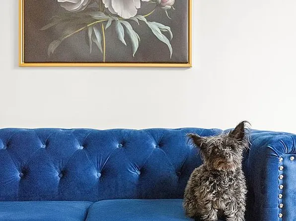 225 Eastern Pkwy APT 3E, Brooklyn, NY 11238