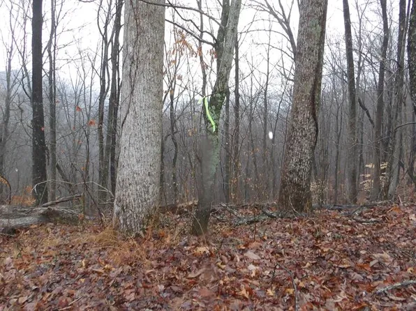 17 & 18 Savannah Dr, Smithville, TN 37166