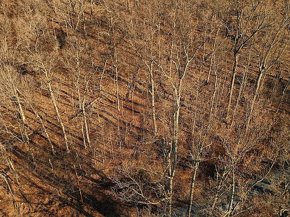 Close to the Ski Resort