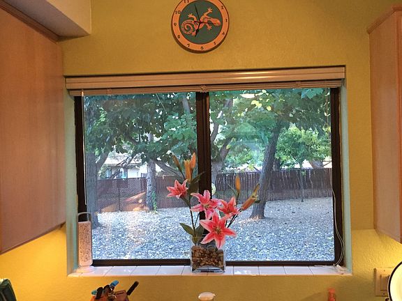 kitchen view of back yard