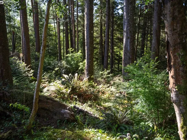 0 Eagle St, Ilwaco, WA 98624