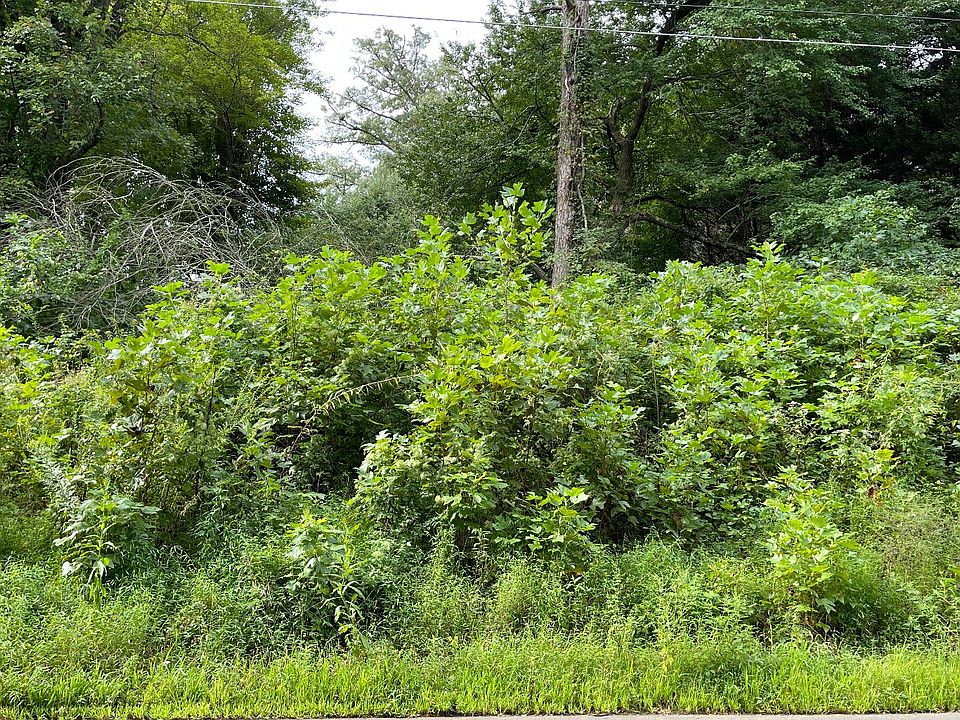 1st image of 27 Sneaking Creek Dr