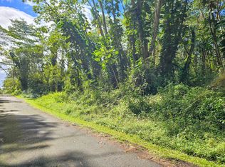 Flower Rd LOT 437, Pahoa, HI 96778