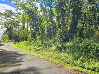 Flower Rd LOT 437, Pahoa, HI, 96778