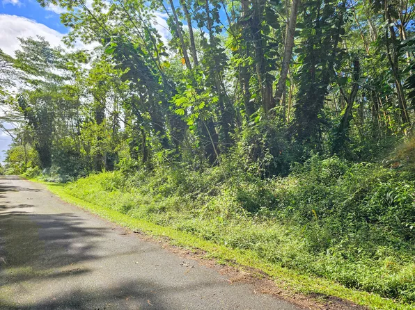 Flower Rd Lot 437, Pahoa, HI 96778
