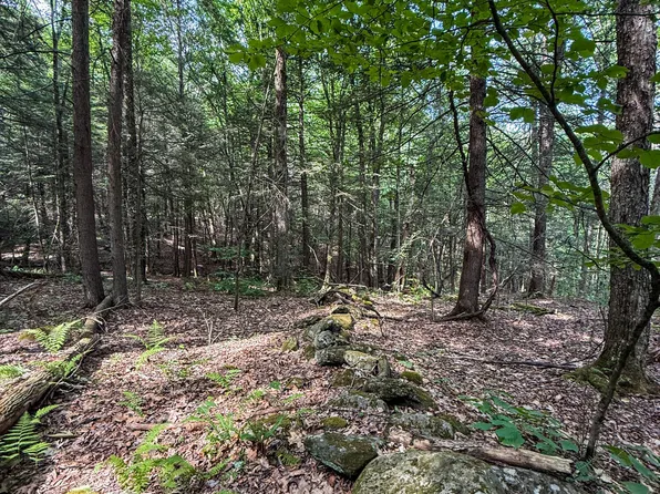 LOT 35 Deer Run, Becket, MA 01223