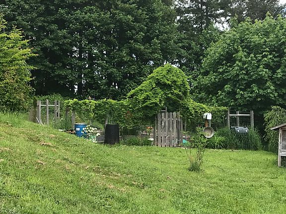 View of garden 