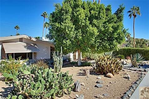 You have a cactus garden for a front yard