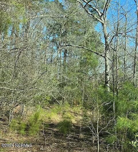 1st image of 1250 Black Bear Run SW
