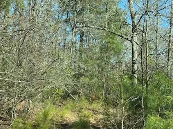 1250 Black Bear Run SW, Supply, NC 28462