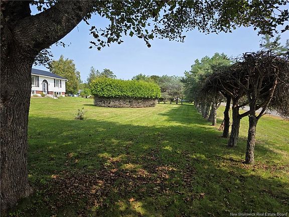 3rd image of LOT Oak Ct