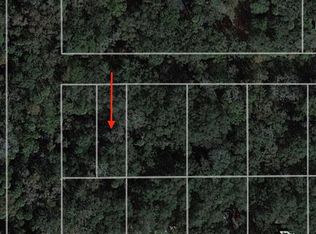 939 Estelle Ave, Brandon, FL 33511