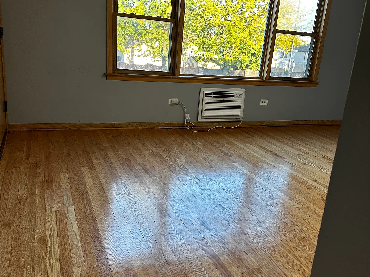 1 bed, 700 sqft, $1,250 — Photo 3