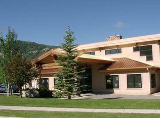 1400 E Valley Rd UNIT 216, Basalt, CO 81621