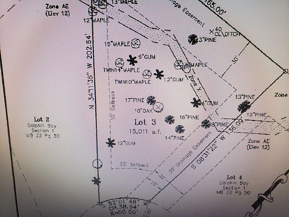 Lot Survey