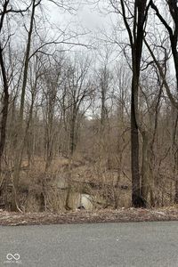 0 Anthony Rd, Cicero, IN, 46034