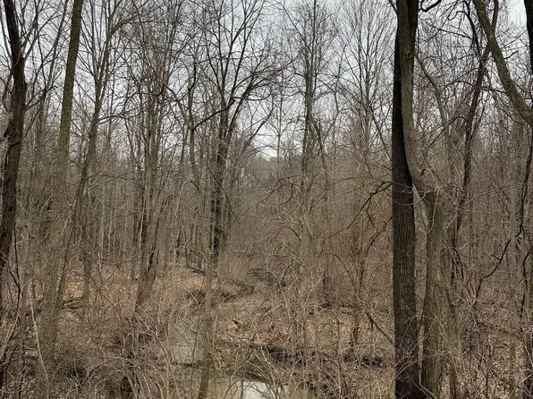 0 Anthony Rd, Cicero, IN 46034