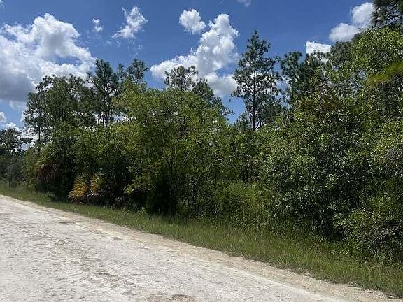 3rd image of 0 Parrot Rd