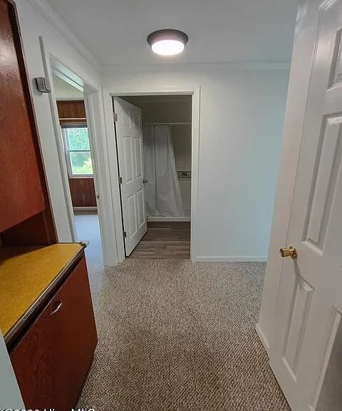 155 Vengeance Creek Rd — Photo 14