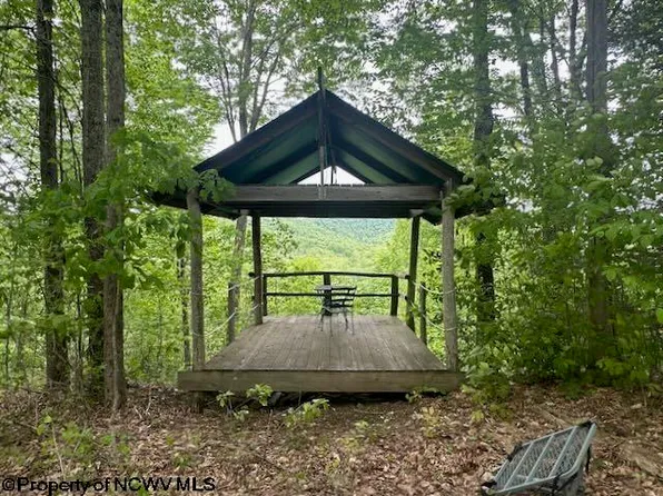 Snake Rd, Rowlesburg, WV 26425