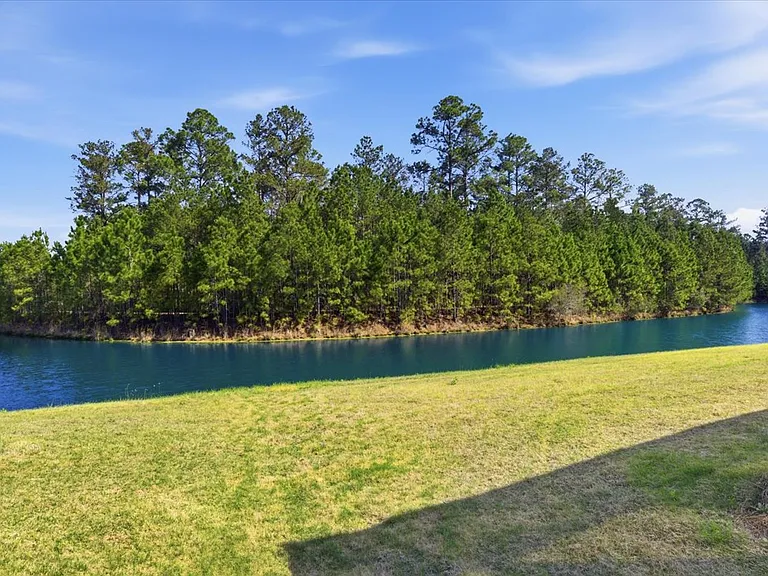 161 Sand Dollar Dr — Photo 9