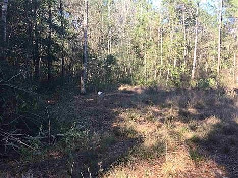 2nd image of 8796 Reed Ranch Rd