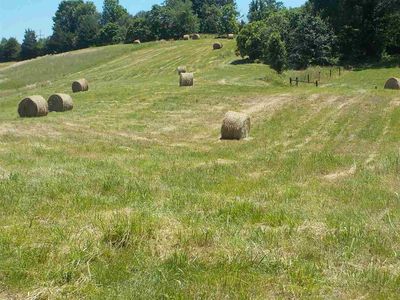 Brown Rd Lot 4, Blaine, TN, 37709