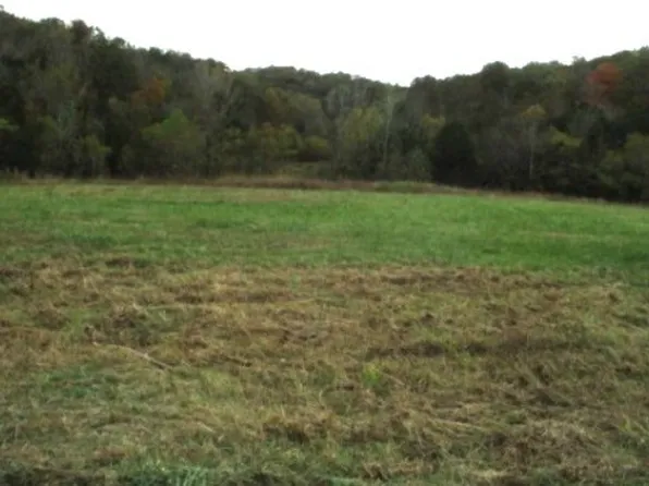 798 Red Tuttle Rd, Bethpage, TN 37022