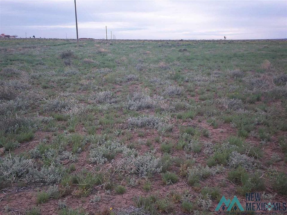 1st image of Cholla Rd SE