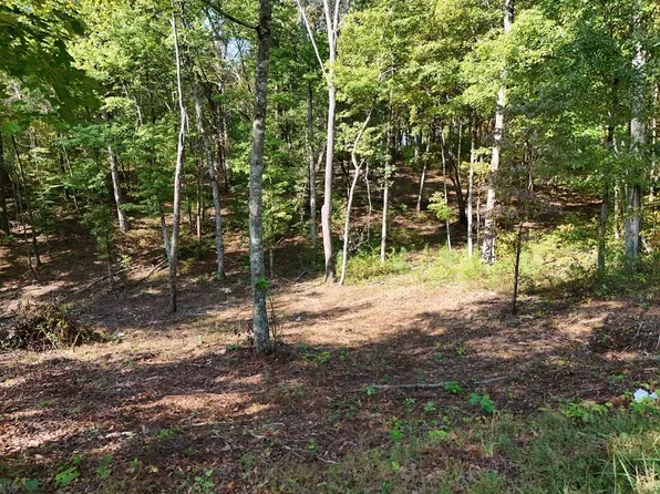LOT 52 Hilton Dr, Ellijay, GA 30540