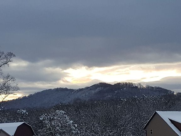 view from front yard
