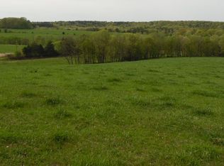 15660 Boiling Springs Rd, Licking, MO 65542