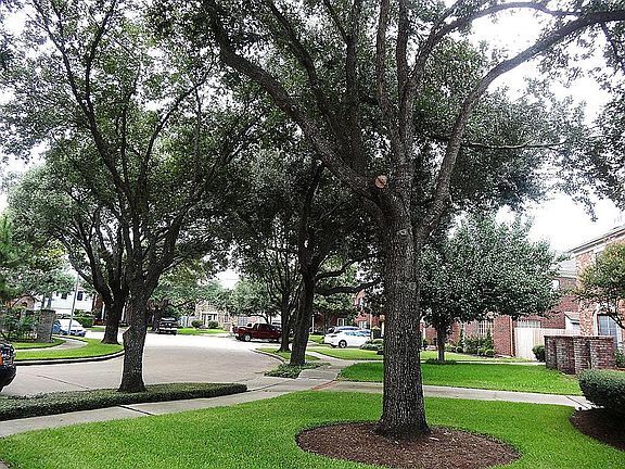4th image of 6818 Hertford Park Dr