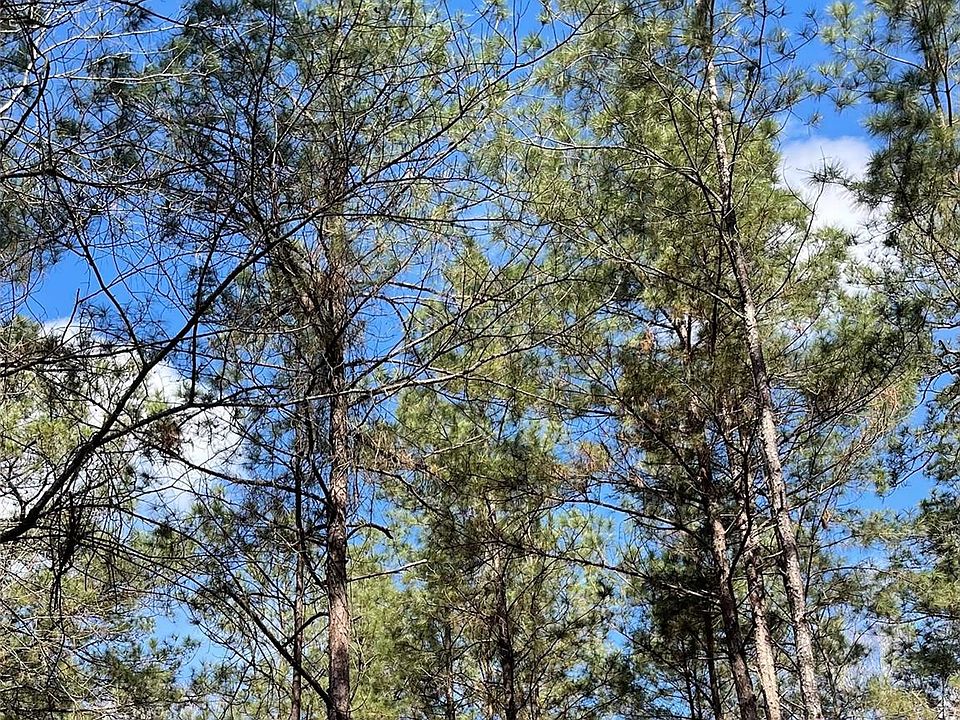 2nd image of 9845 Fm 149 Rd