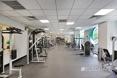 Rented by (Legacy) Elegran