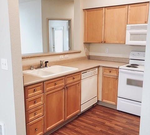 Kitchen with pass through to the living room.