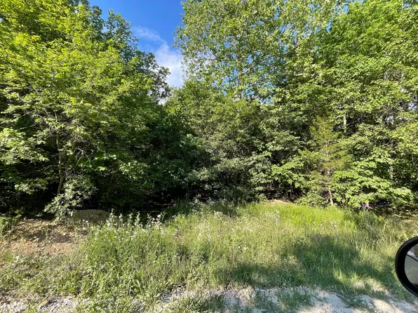 000 N Quail Ridge Lane, Fair Grove, MO 65648