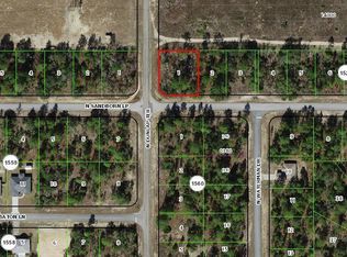 6816 N SANDBORN Loop, Dunnellon, FL 34433