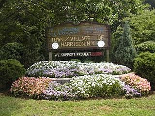 2nd image of 49 Halstead Ave