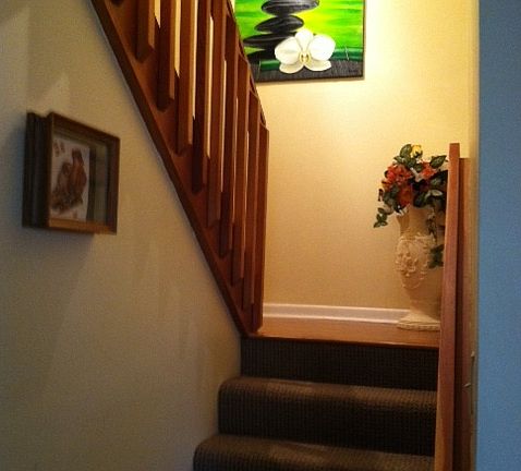 carpet stairs laminate land